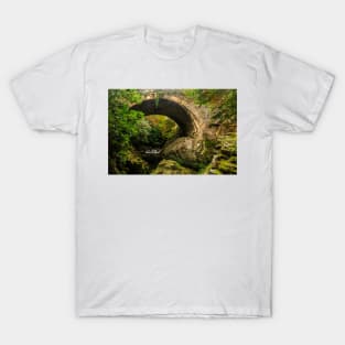 The Old Bridge, Tollymore Forest Park T-Shirt